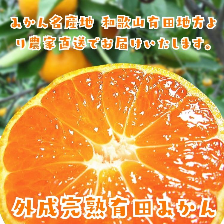 ご家庭用 粗選別 外成 完熟 有田 みかん 10kg _ わけあり 訳あり