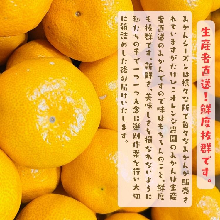 【予約】ご家庭用 粗選別 外成 完熟 有田 みかん 10kg+200g(痛み補償分)  _ わけあり 訳あり フルーツ 果物 送料無料 ふぞろい 自宅用 ミカン 和歌山 有田みかん |  | 06