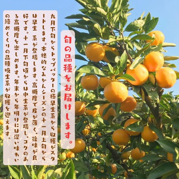 【予約】ご家庭用 粗選別 外成 完熟 有田 みかん 10kg+200g(痛み補償分)  _ わけあり 訳あり フルーツ 果物 送料無料 ふぞろい 自宅用 ミカン 和歌山 有田みかん |  | 07