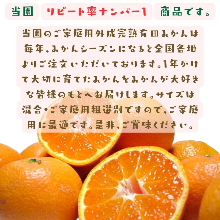 ご家庭用 粗選別 外成 完熟 有田 みかん 10kg _ わけあり 訳あり