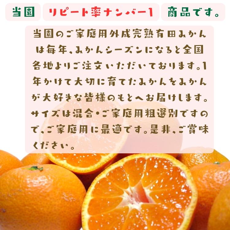 【予約】ご家庭用 粗選別 外成 完熟 有田 みかん 10kg+200g(痛み補償分)  _ わけあり 訳あり フルーツ 果物 送料無料 ふぞろい 自宅用 ミカン 和歌山 有田みかん |  | 08