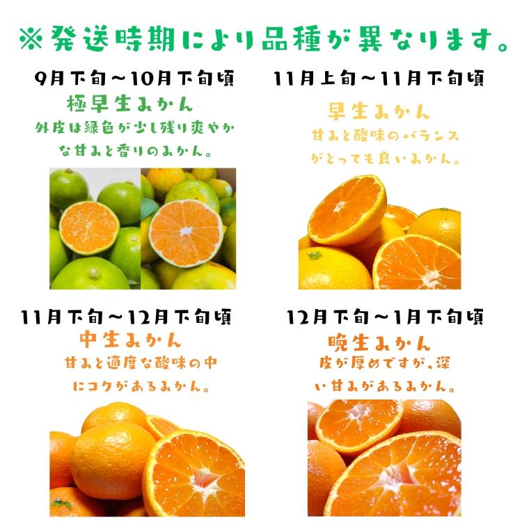 ご家庭用 粗選別 外成 完熟 有田 みかん 10kg _ わけあり 訳あり