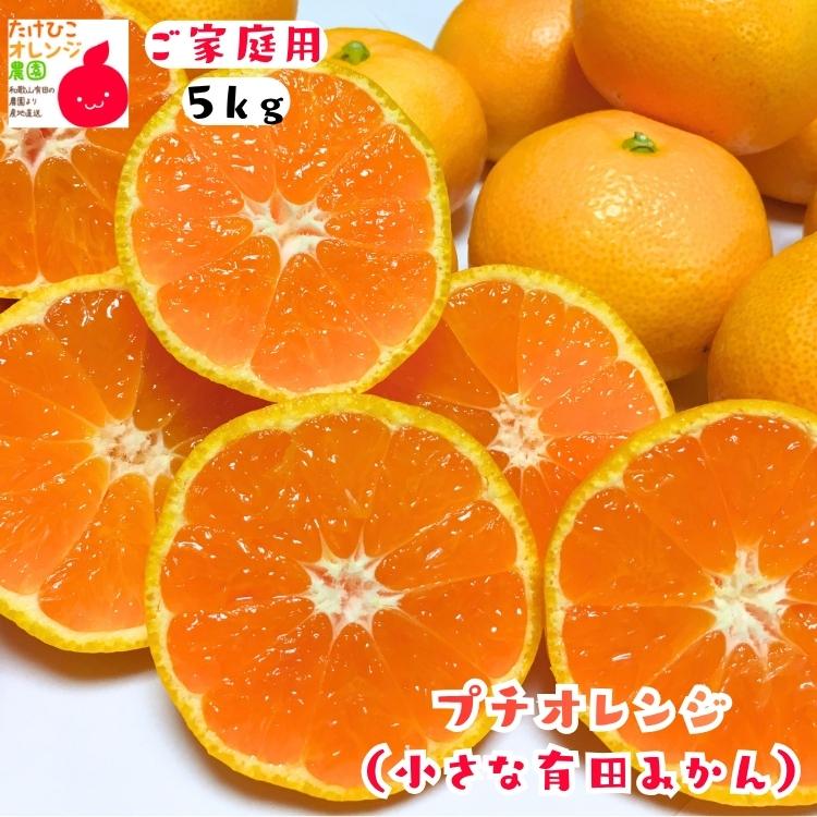 【予約】小玉 有田 みかん 完熟プチオレンジ (ご家庭用粗選別) 5kg ＋200ｇ（傷み補償分）_ 小さい 小粒 こつぶ わけあり 訳あり ミカン 産地直送 和歌山 有田 | 