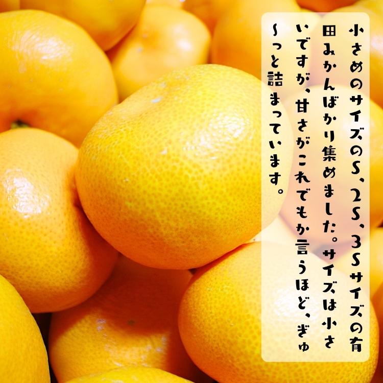 【予約】小玉 有田 みかん 完熟プチオレンジ (ご家庭用粗選別) 10kg ＋200ｇ（傷み補償分）_ 小さい 小粒 こつぶ わけあり 訳あり ミカン 産地直送 和歌山 有田 |  | 01