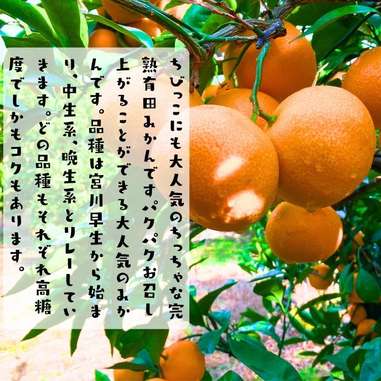 【予約】小玉 有田 みかん 完熟プチオレンジ (ご家庭用粗選別) 10kg ＋200ｇ（傷み補償分）_ 小さい 小粒 こつぶ わけあり 訳あり ミカン 産地直送 和歌山 有田 |  | 02