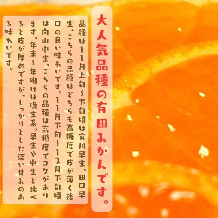 【予約】有田みかん 特撰 こだわりの外成 完熟 有田みかん 10kg +200g(傷み補償分)_ ギフト お歳暮 フルーツ 果物 ふぞろい ミカン くだもの 温州みかん 和歌山 |  | 05