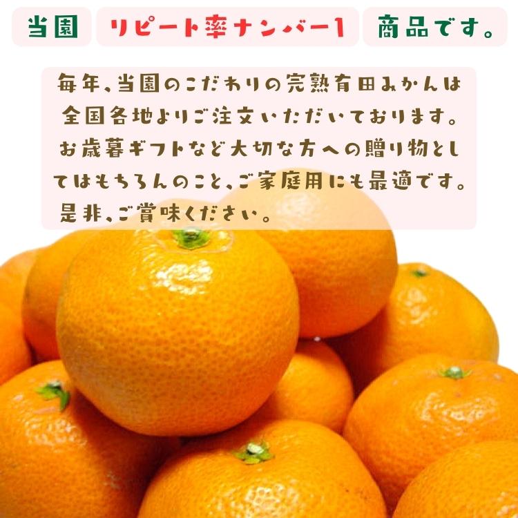 【予約】有田みかん 特撰 こだわりの外成 完熟 有田みかん 10kg +200g(傷み補償分)_ ギフト お歳暮 フルーツ 果物 ふぞろい ミカン くだもの 温州みかん 和歌山 |  | 06