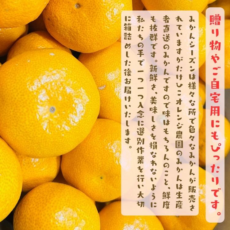 【予約】有田みかん 特撰 こだわりの 外成 完熟 有田 みかんＳサイズ 10kg＋200g 秀品 フルーツ 果物 送料無料 ミカン くだもの 産地直送 和歌山 ギフト お歳暮 |  | 04
