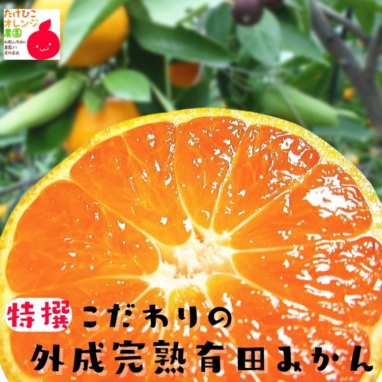 【予約】有田みかん 特撰 こだわりの 外成 完熟 有田 みかんＳサイズ 10kg＋200g 秀品 フルーツ 果物 送料無料 ミカン くだもの 産地直送 和歌山 ギフト お歳暮 |  | 09