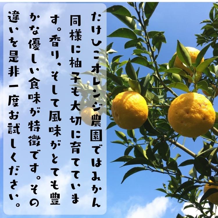 【予約】ゆず 訳あり ご家庭用粗選別 爽やか 柚子 ( ゆず ) 1kg +200g(傷み補償分)_ わけあり ノーワックス ノー防腐剤 産地直送 減農薬 和歌山 不揃い ユズ |  | 01