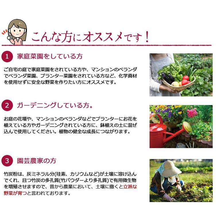 竹炭 粗め １ｋｇ プランター花 花壇用土壌改良材 純南九州産 Chikutan1000 アース国産自然工房 通販 Yahoo ショッピング