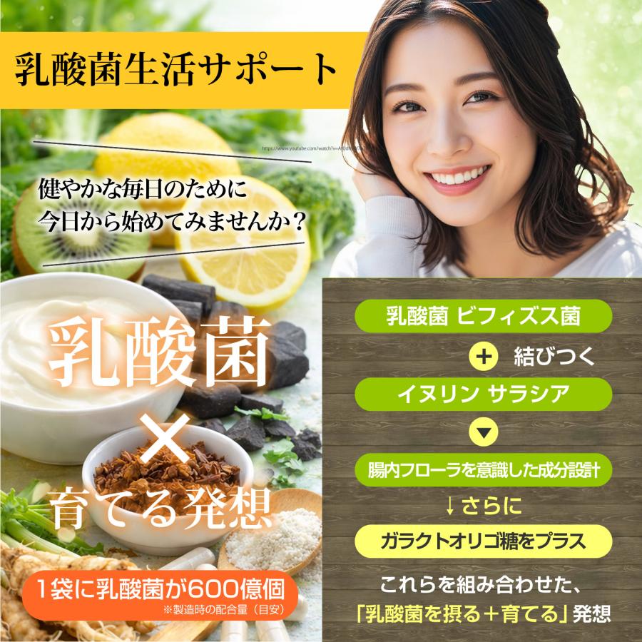 炭サプリ タブレット90粒 1〜3ヵ月分 自社竹炭パウダー使用 酵素 乳酸菌 菌活 吸着 イヌリン サラシア 製薬会社共同開発 ポスト投函 |  | 05