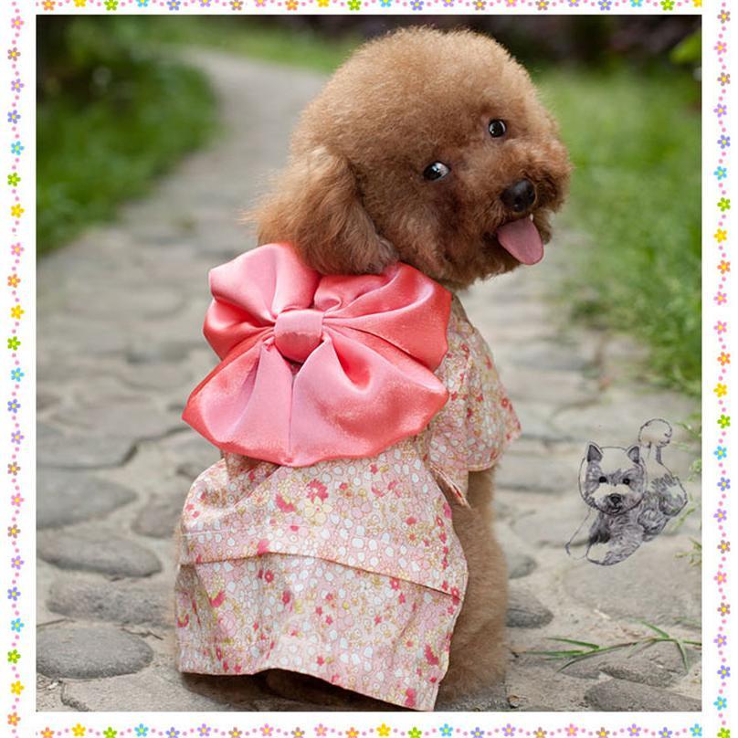 犬 着物 日本製 ダックス 可愛い 5点セット 被布 七五三 帯付き 和洋着物 idwt-ch217.jpg