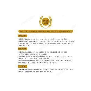 スーツケース 機内持込 キャリーケース キャリーバッグ 静音 軽量 ビジネス TSAロック 修学旅行 出張 シンプル おしゃれ SSサイズの画像