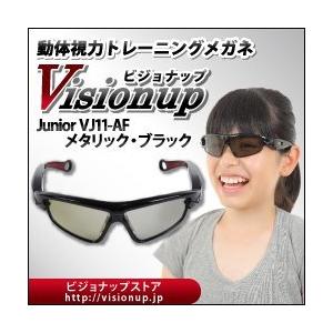 takes-shopビジョントレーニングメガネ Visionup Ladies Junior(ビジョナップ・レディースジュニア) VJ11-AF Metalli