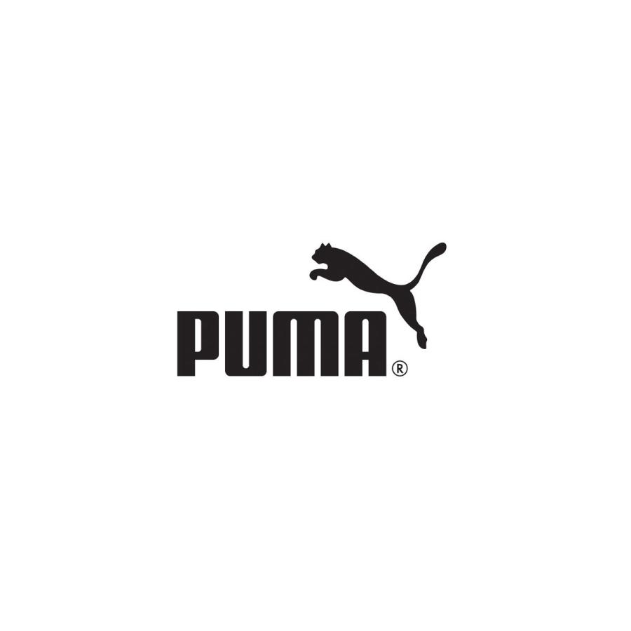 プーマ バックパック リュックサック ユニセックス PUMA 35L ビジネス 通学 部活 合宿 遠征 TEAMFINAL バックパック 079266 BLK 送料無料 新作｜takespo｜02