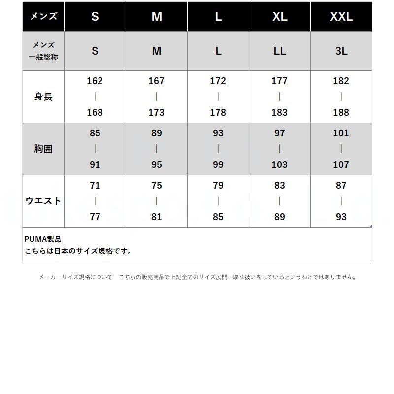 PUMA（プーマ） 薄手 ジャージ 上下 メンズ セットアップ 半袖 ハーフ