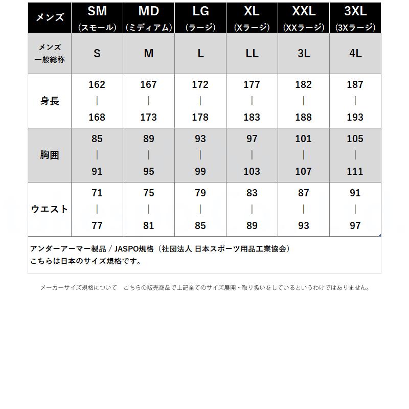 UNDER ARMOUR（アンダーアーマー） Tシャツ メンズ 半袖 速乾 スポーツ