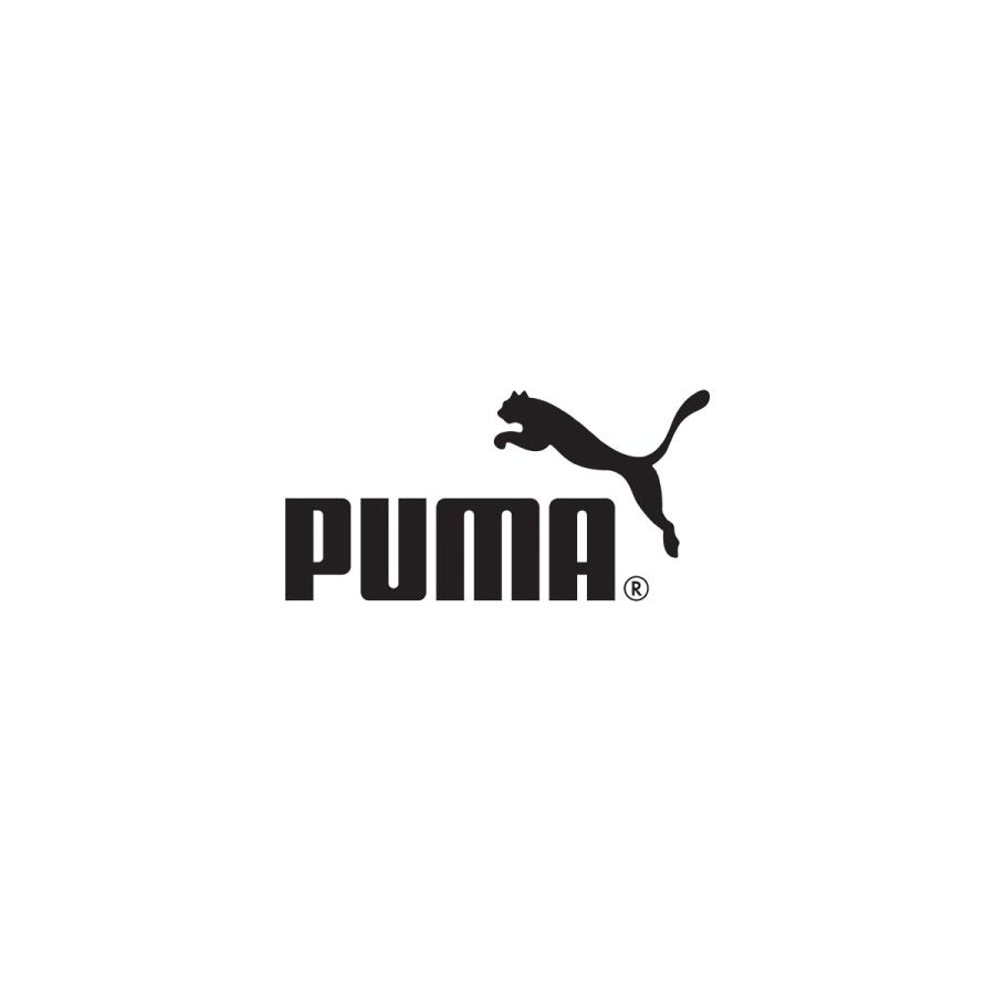 PUMA（プーマ） Tシャツ メンズ 半袖 速乾 スポーツ ブランド 吸汗 puma