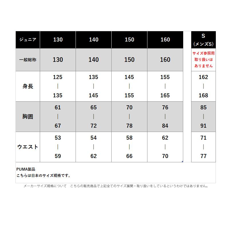 PUMA（プーマ） Tシャツ ハーフパンツ 上下 ジュニア セットアップ
