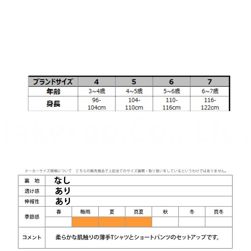 NIKE（ナイキ） Tシャツ ハーフパンツ 上下 ジュニア セットアップ