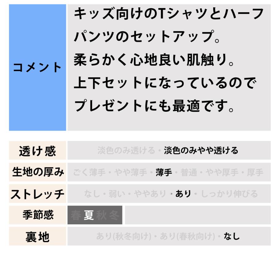 NIKE（ナイキ） NSW 送料無料 Tシャツ ハーフパンツ 上下 セットアップ
