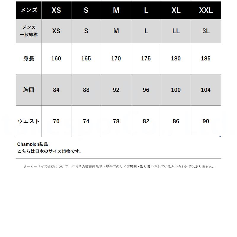 チャンピオン ジャージ メンズ 上下 ブランド セットアップ Champion C3DSE01 送料無料 新作 速乾_11
