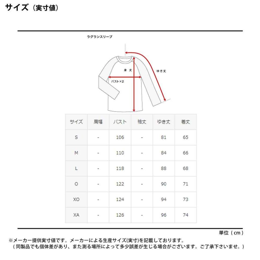 デサント フリースジャケット メンズ DESCENTE パーカー 裏フリース ハーフジップ 保温 ストレッチ はっ水 フーディ グラフィックプリント｜takespo｜10