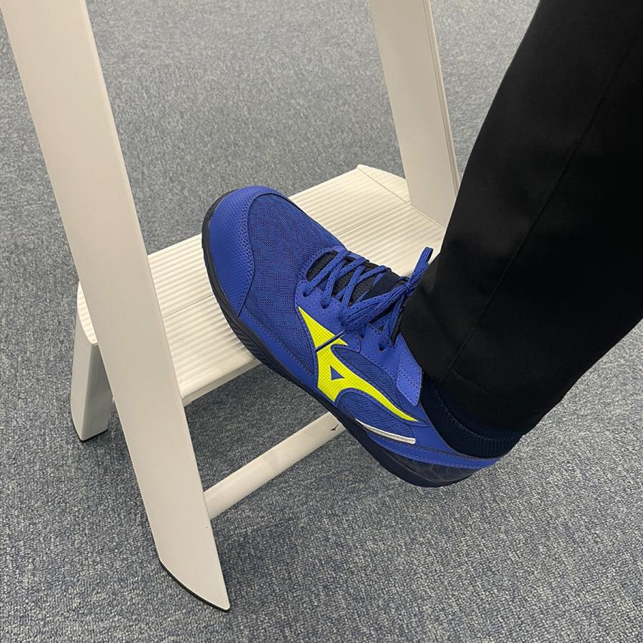 MIZUNO（ミズノ） 安全靴 オールマイティ 限定品 オールマイティ