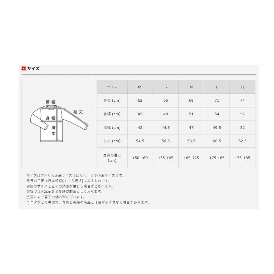 BENT L TRANSFER サイズM Hanes（ヘインズ） 長袖Tシャツ メンズ ブランド スポーツ Tシャツ