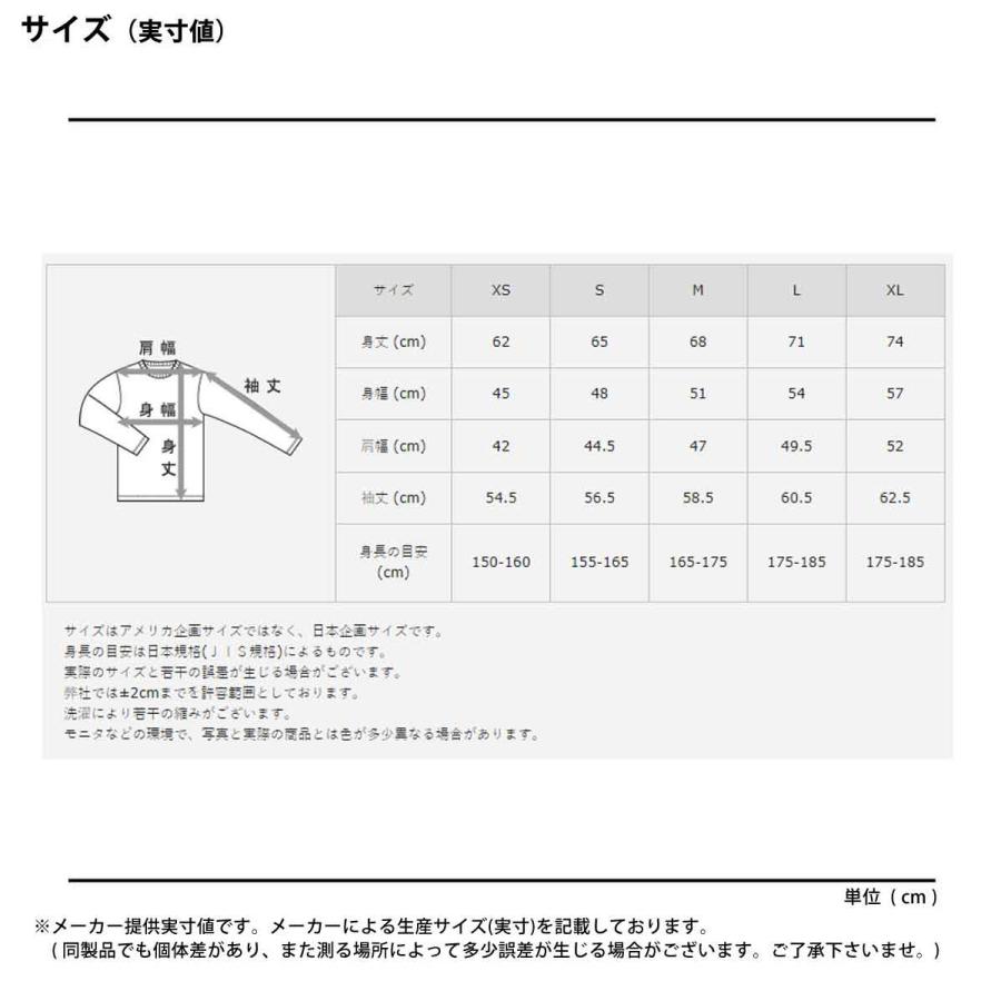Hanes（ヘインズ） ロンT 長袖Tシャツ メンズ ブランド スポーツ T