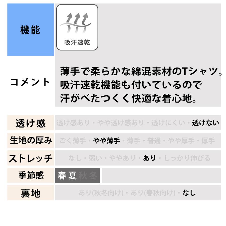 NIKE（ナイキ） Tシャツ メンズ 半袖 速乾 スポーツ ブランド 吸汗