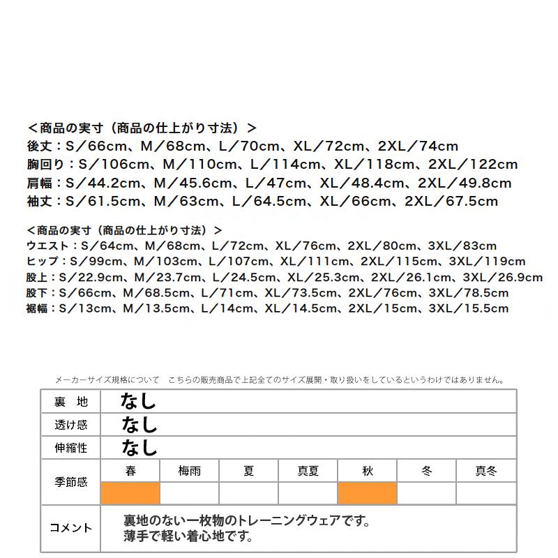 MIZUNO（ミズノ） ピステ 上下 メンズ セットアップ ブランド Mizuno