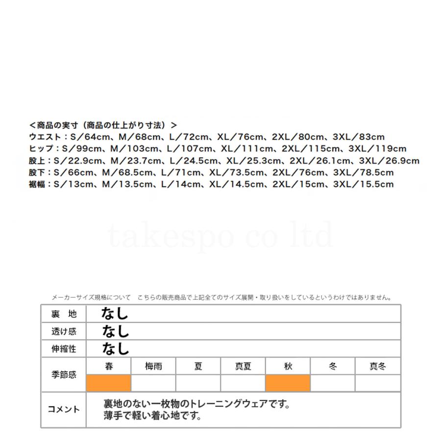 MIZUNO（ミズノ） ピステパンツ メンズ ブランド チーム P2MFC100 送料