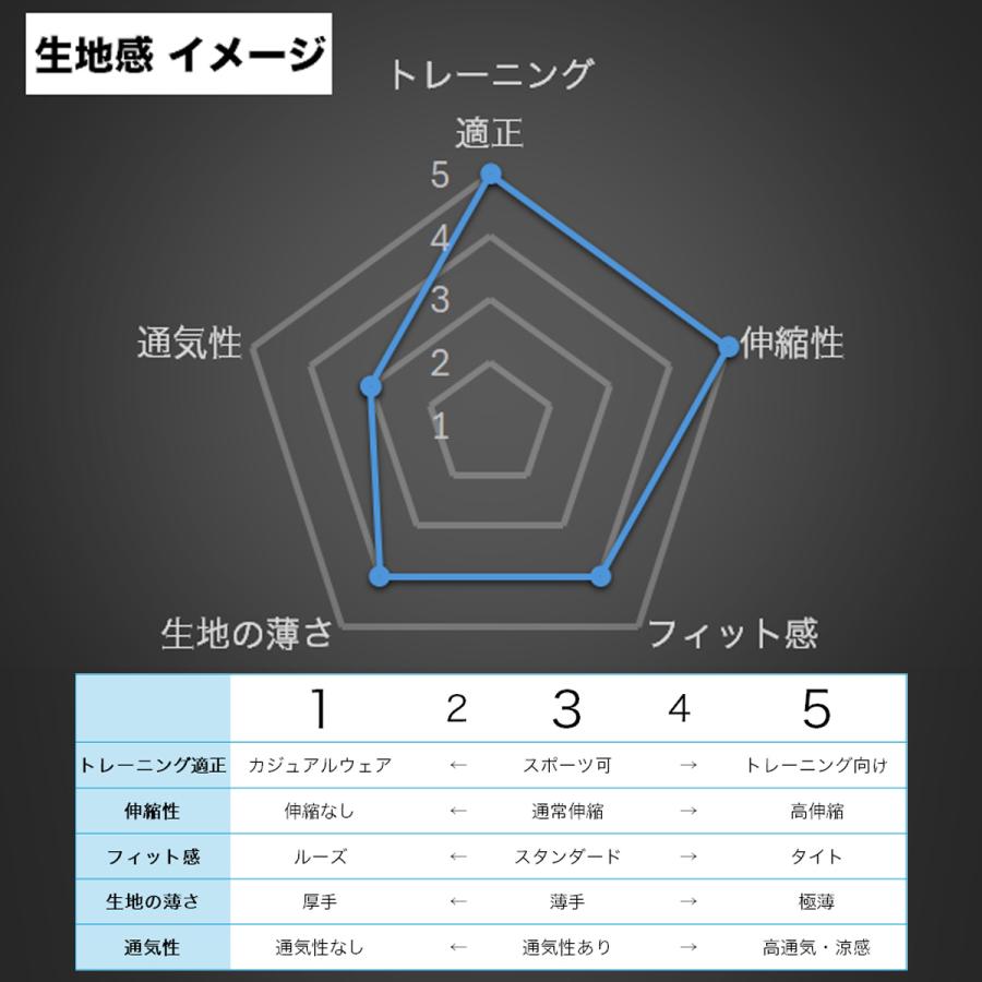 MOVESPORT ムーブスポーツ デサント ポロシャツ メンズ ブランド