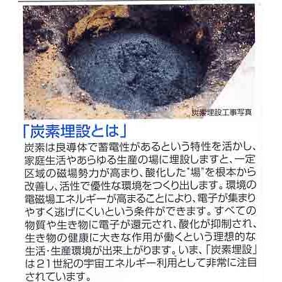 製造元【埋炭用竹炭】弊社は埋炭に適した粒の揃った2ミリ位に粉砕し 