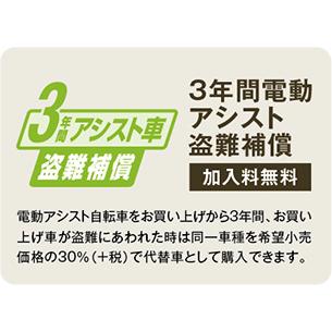 ビューアシスト　電動　２６インチ　丸石 (組立・自宅整備発送)　 　 電動 　｜taketheair｜05