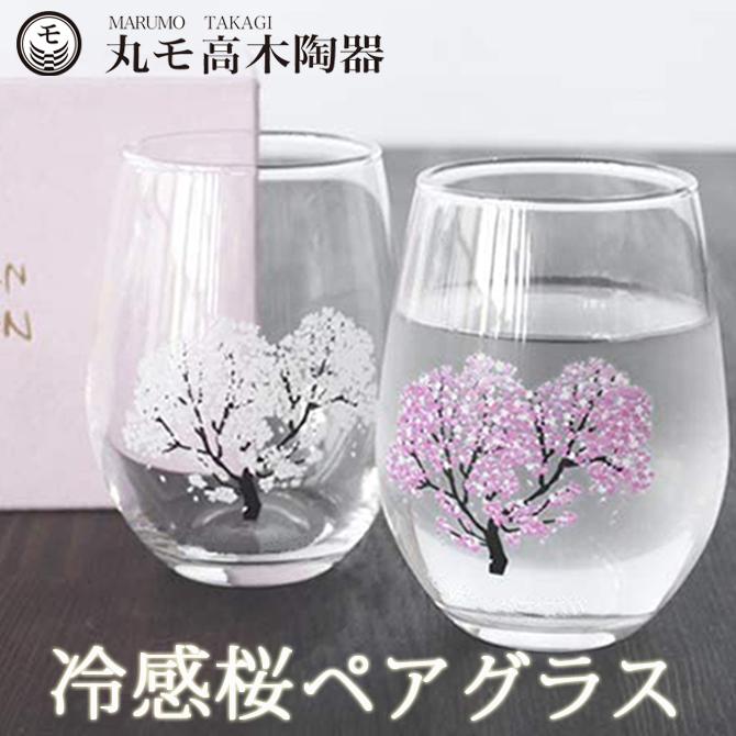 冷感桜 フリーグラス ペア 温度変化 桜 300ml 2個セット 丸モ高木陶器