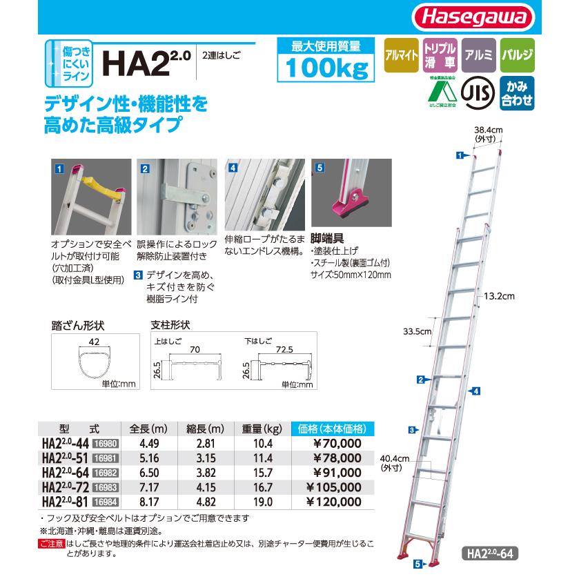 長谷川工業 ハセガワ (配送先法人限定) 2連はしご HA2 2.0-64 全長：6.50m 最大使用質量100kg :t109-ha2-2-0-64:機械と工具のテイクトップ  - 通販 - Yahoo!ショッピング