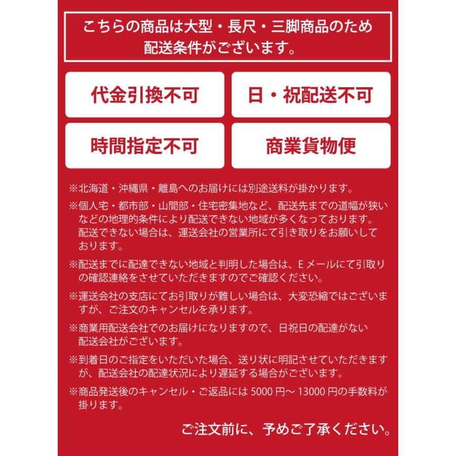 長谷川工業 (配送先法人限定) 1連はしご HE1-41 全長：4.08m 最大使用質量：100kg ハセガワ_2