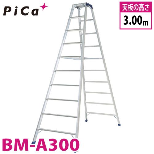 t51-bm-a300