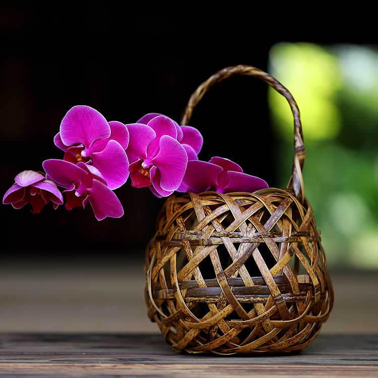 虎竹花籠 菊手毬 : 虎斑竹専門店 竹虎 - 通販 - Yahoo!ショッピング