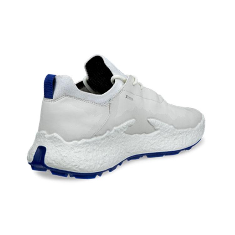 ecco（エコー） エコーゴルフ シューズ メンズ BIOM H5 ゴルフシューズ