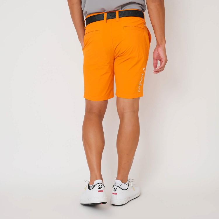 V12 ゴルフ ショートパンツ メンズ 接触冷感 吸汗速乾 ドライタッチ ストレッチ 短パン ハーフパンツ 無地 シンプル ゴルフウェア ブランド ロゴ V122510-HP02 V12（ヴィ・トゥエルヴ） ゴルフ ショートパンツ メンズ 接触冷感 吸汗