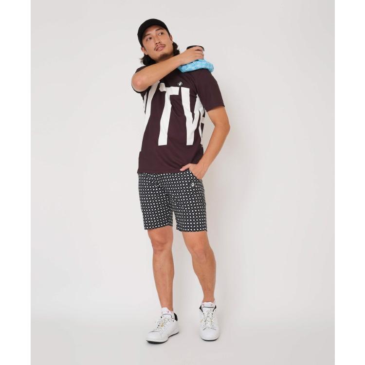 V12 ゴルフ モックシャツ メンズ 半袖 シャツ ハイネック モックネック