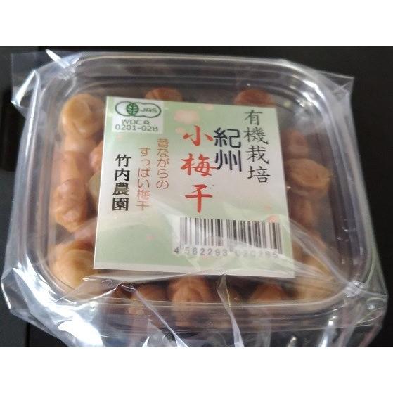 小梅ページ 1997 Japanese ZX brochure