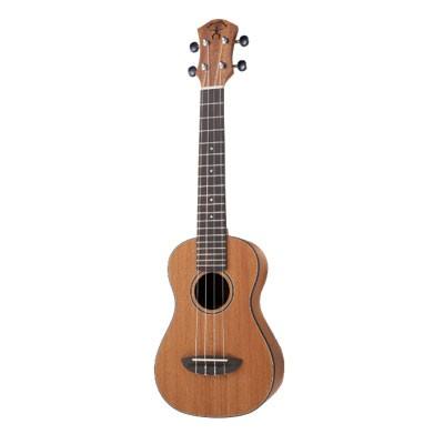 ANUENUE MINIC MAHOGANY ウクレレ 調整済み アヌエヌエ aNN-MCM マホガニー ソプラノ ロングネック ミニ