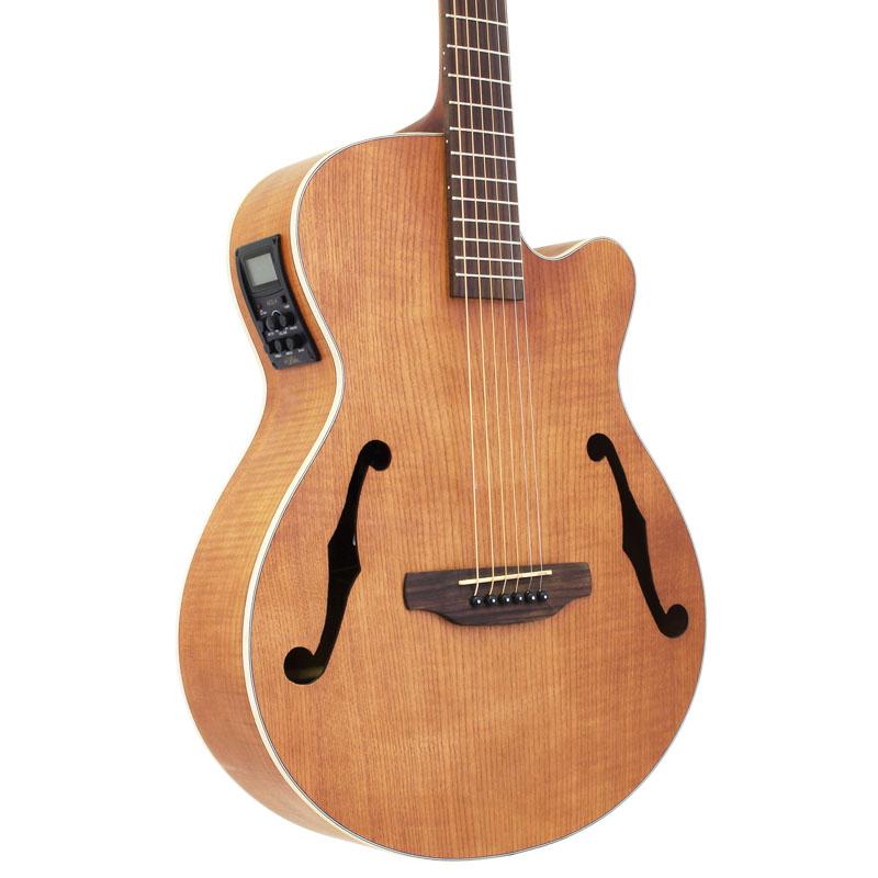 生産終了モデル】Aria FET-F1N（エレアコ）