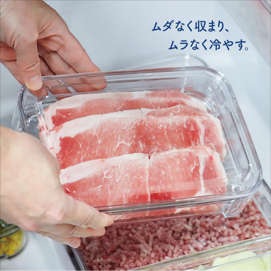 TAKEYA（タケヤ） メーカー公式 フリーズストック クリア 冷凍 保存