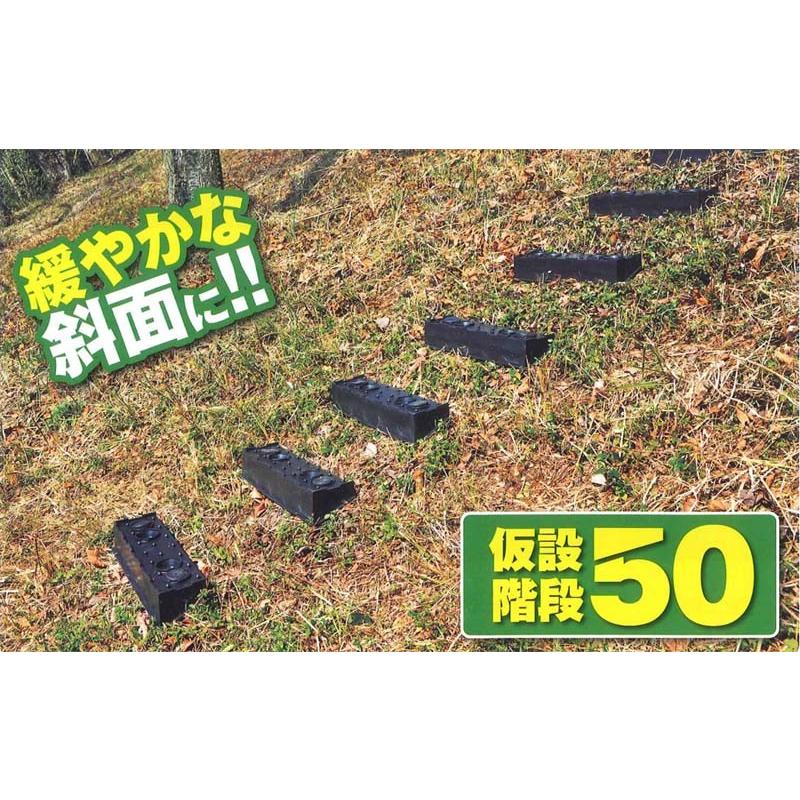 仮設階段50型 2本セット(本体2個・杭4本) : eくらしshop - 通販